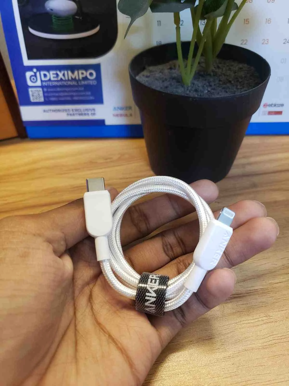 Anker 310 USB-C lighting  Cable